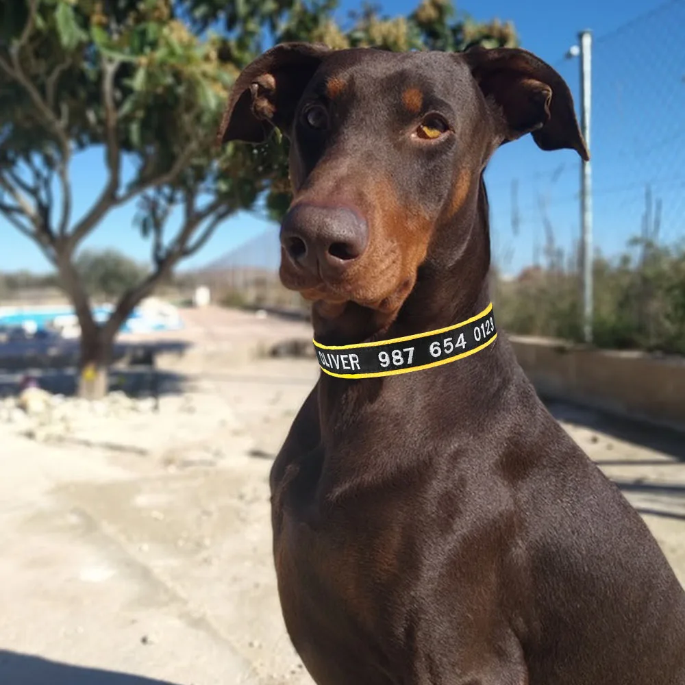Nylon Embroidered Custom Personalized Dog Collar Pet Collars Adjustable Puppy Nameplate ID Small Medium Large Yellow | Дом и сад