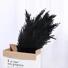 Свадебные цветы, букет натуральных сушеных памяток, трава, цветы, нефрагмиты, рождественское домашнее цветное украшение, тростник для свадьбы, черный красавиц Z7h1