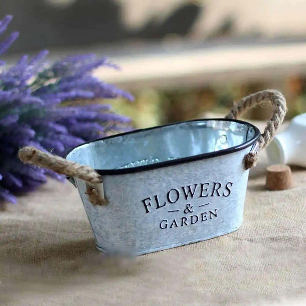 

1*Tin Bucket Succulents Fashionable Flower Pots Indoor/outdoor Garden Planting