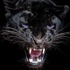 Вышивка крестом Алмазная вышивка животное пантера узор полный DIY 5D алмаз Мозаика из горного хрусталя для росписи украшения