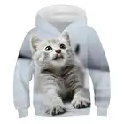 Толстовки с 3D рисунком животных для детей мальчиков и девочек, Зимний пуловер с длинным рукавом в виде кота, Забавный свитшот, детская одежда