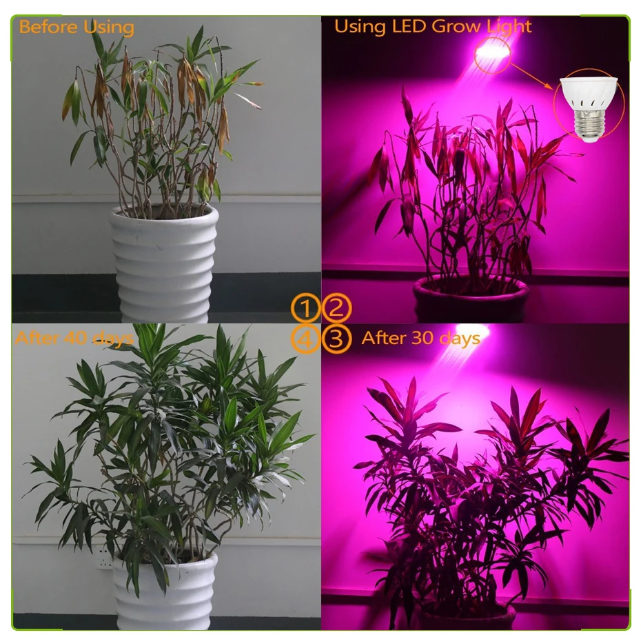 Phytolamp полный спектр 20 Вт светодиодный лампа для выращивания E27 Светодиодный светильник для выращивания растений светильник красно-синие ЖК-индикаторы для растений лампа для роста цветов