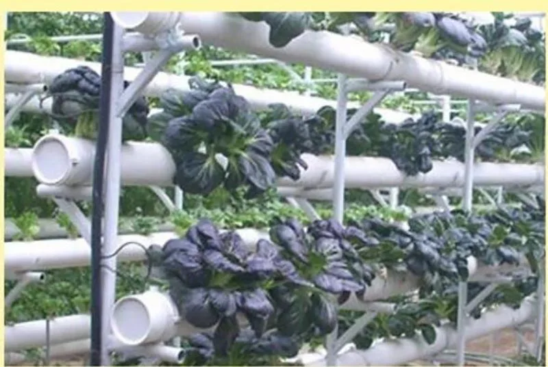 

10Pcs Hydroponic colonization Mesh Plant Grow Pot Net Nursery Cup Basket holder Hydroponic Aeroponic vegetable Planting Soilless