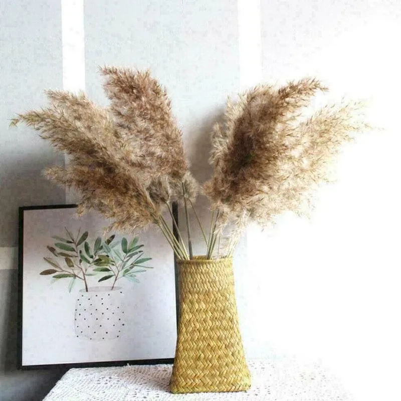 

Home Decor Natural Fluffy Nordic Wind Reed Dried Flowers Sunny Grass Prairie Simulation Reed Home Flower Arrangement Decoration