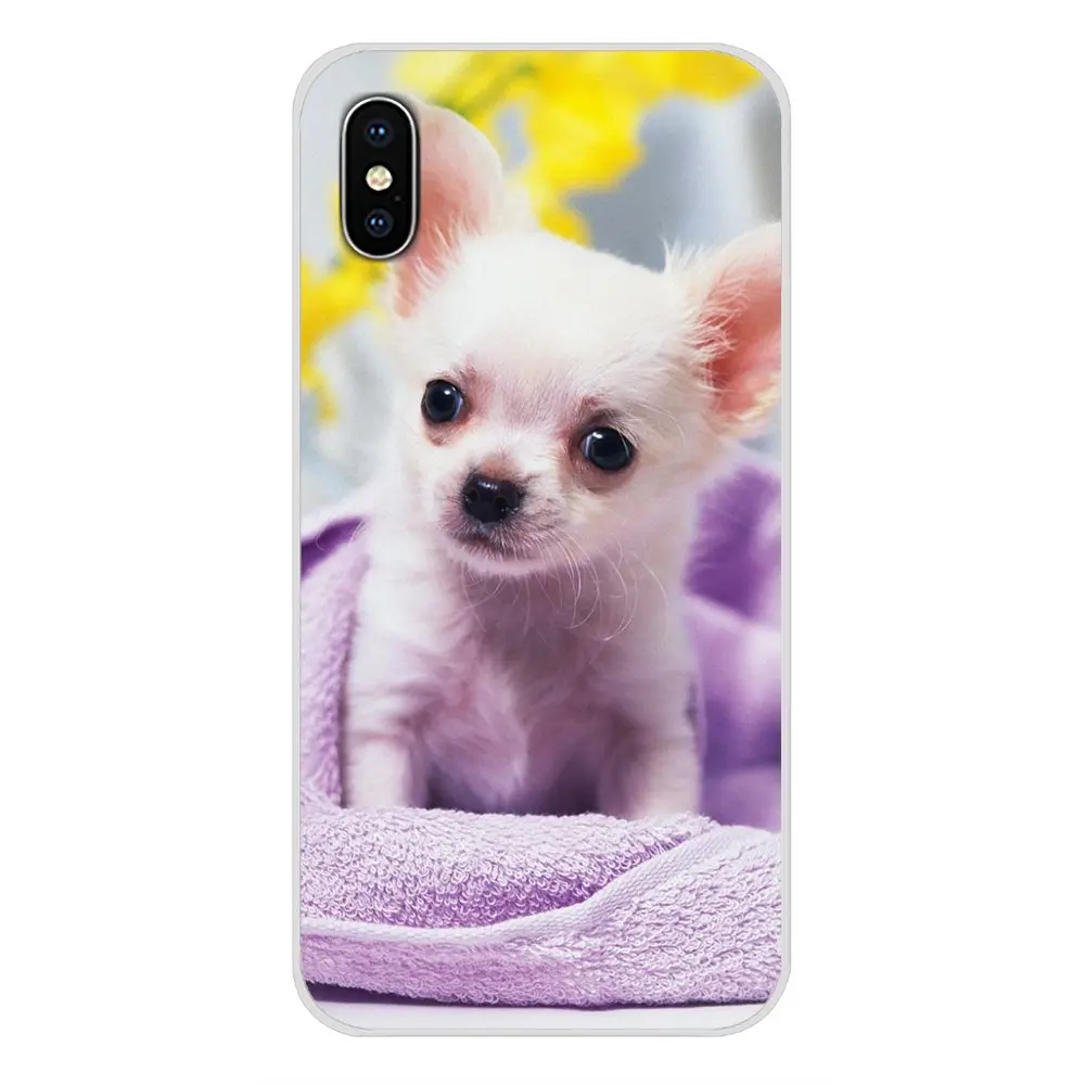 Животные Чихуахуа собака аксессуары чехлы для телефонов Чехлы Apple iPhone X XR XS 11Pro MAX 4S