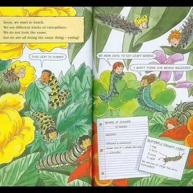 

20 Books/set The Magic School Bus Science Readers Box English Picture Coloring Reading Story Book Kids Children Educational Toy