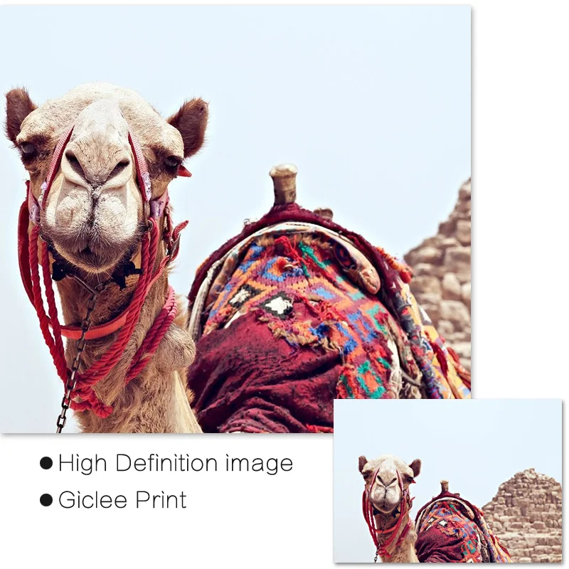 Печать верблюдов марокканские художественные принты декор в стиле бохо