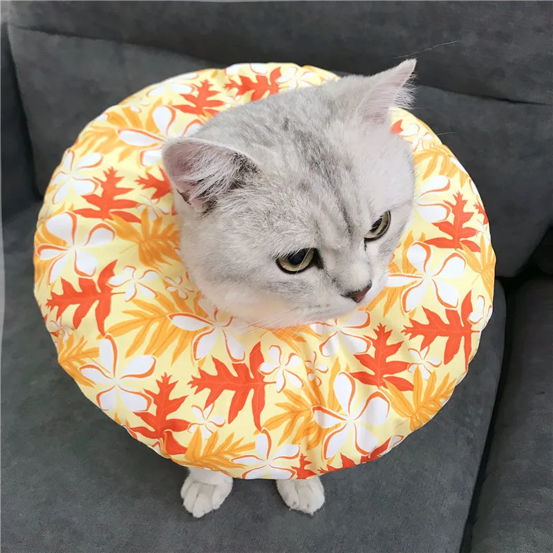 Katten Elizabeth Halsbanden Cirkel Huisdier Bescherming Hoofddeksels Kat Bad Schoonheid Waterdicht Anti-Bite Anti-Likken Anti-Kras kraag Katten Elizabeth Halsbanden Cirkel Huisdier Bescherming Hoofddeksels Kat Bad Schoonheid Waterdicht Anti-Bite Anti-Likken Anti-Kras kraag