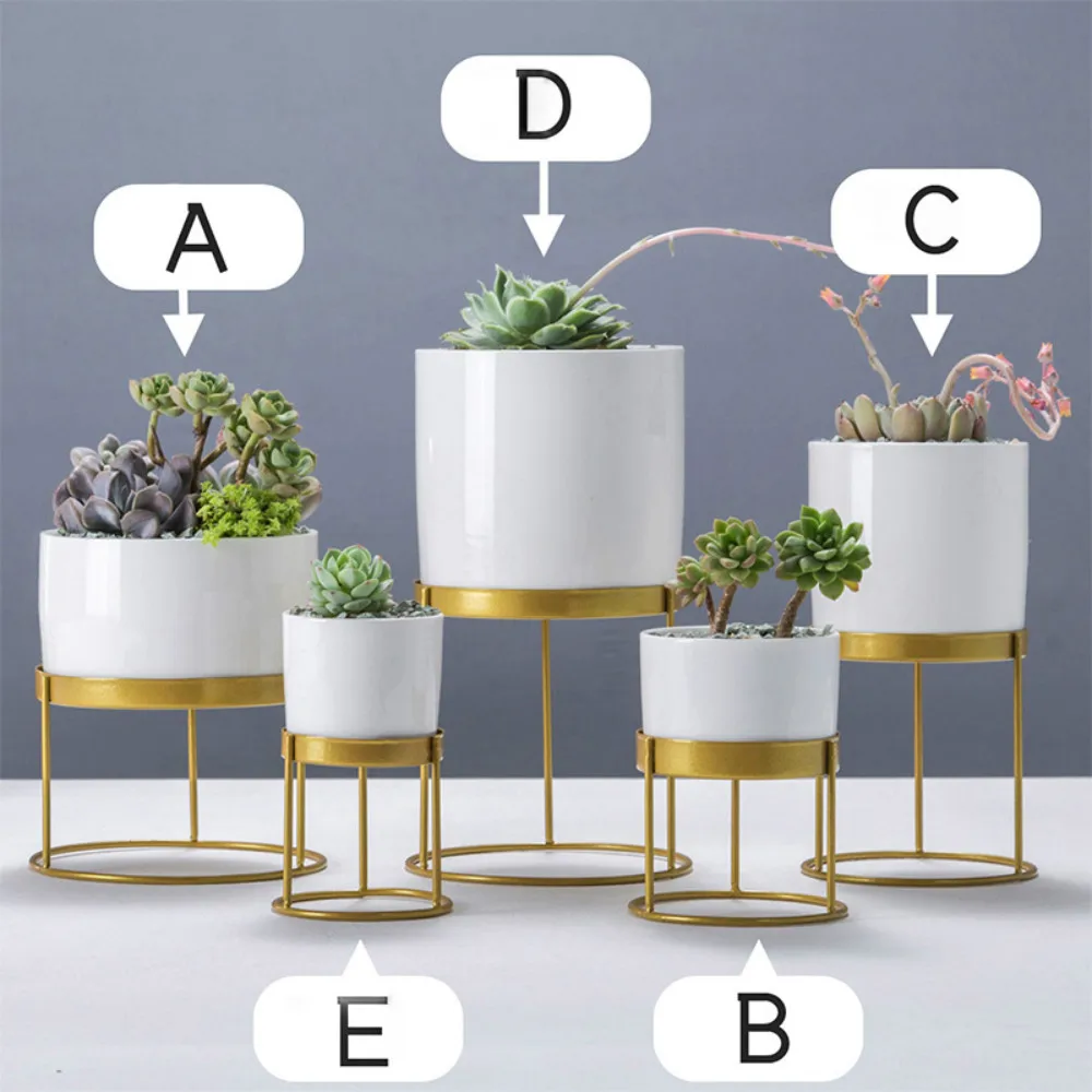 Скандинавский керамический Настольный плантатор Белый позолоченный край сочный