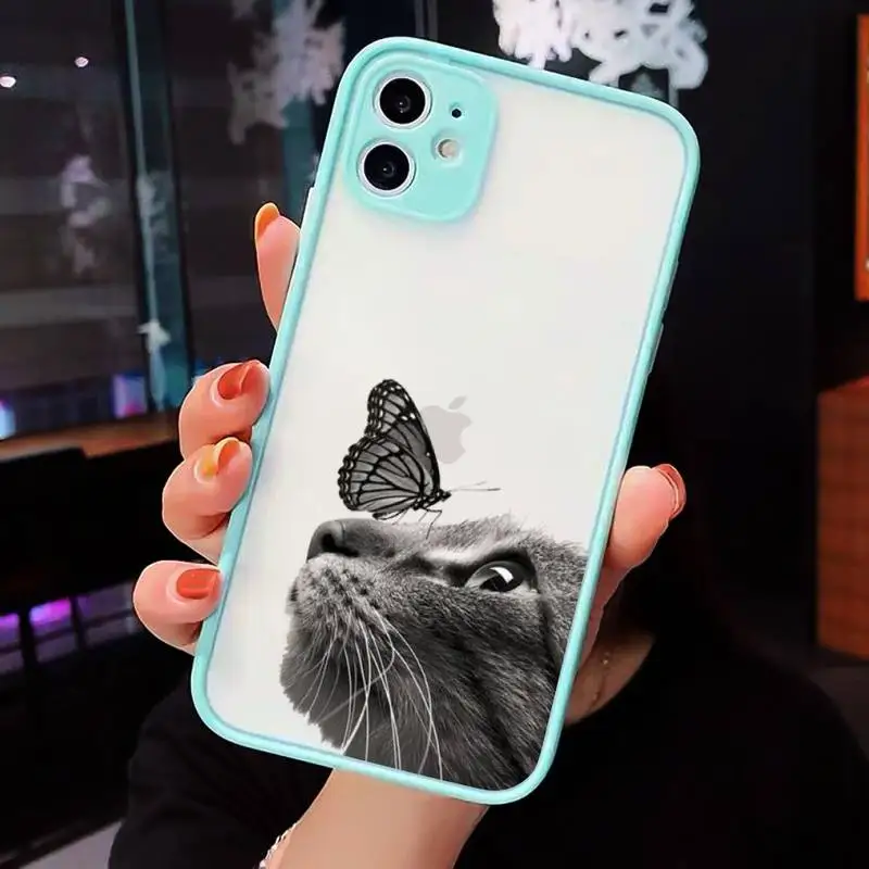 

Cartoon cute cat Phone Cases Matte transparent For blue iPhone 12 Mini 11 Pro XR XS Max 7 8 Plus X Back Cover