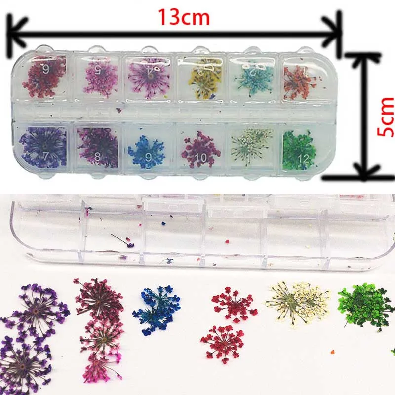 

Real Dried Pressed Flowers Nail Gel Art Decorative Set Babysbreath Flower Manicure Debate Nail Professional Art Kids With Case