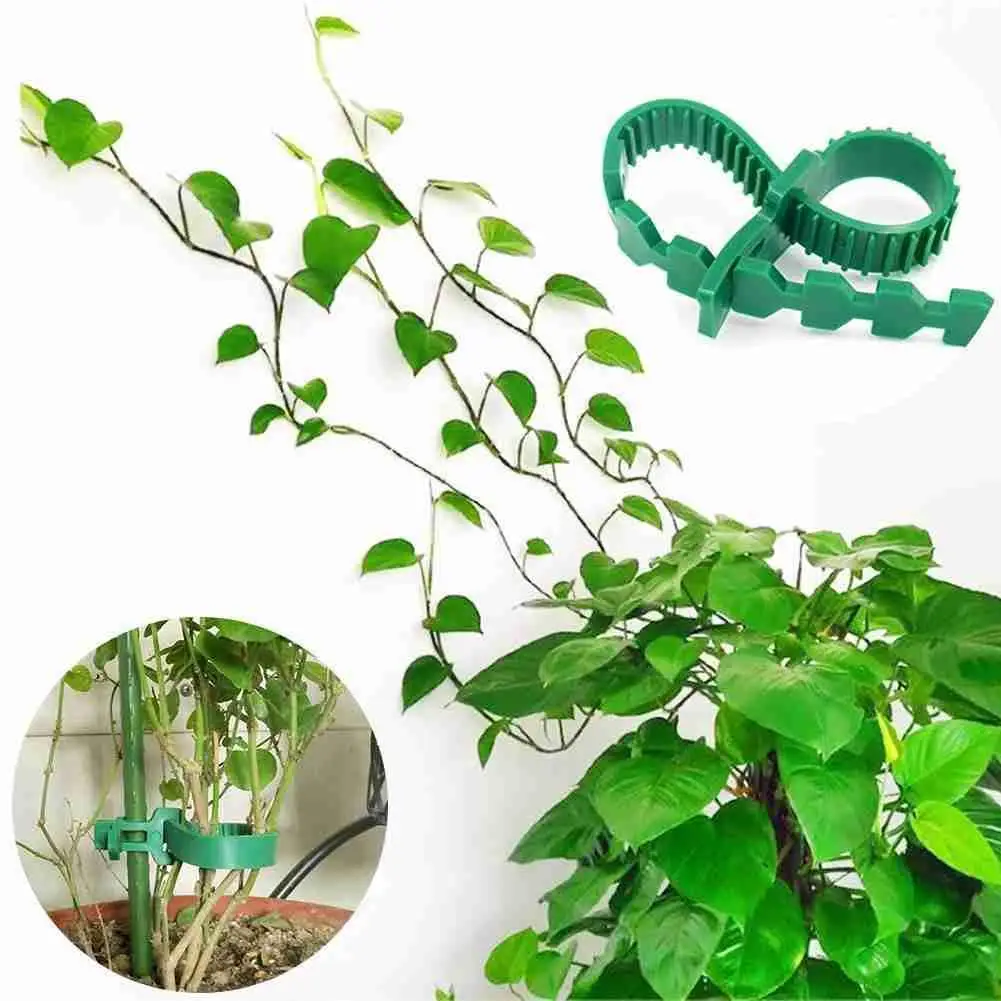 

Reusable Garden Cable Ties Plant Support Shrubs Fastener Tree Ties Nylon Plastic Adjustable Locking Cable Tools W9V2