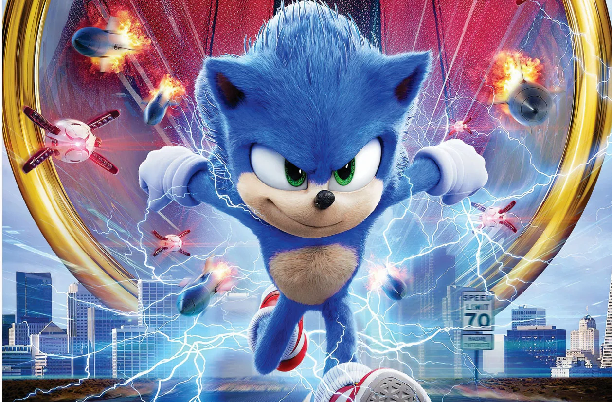 Виниловый фон для студийной фотосъемки с изображением ежика и летательного