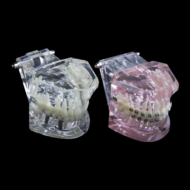 Стоматологическое лабораторное оборудование стоматологическая анатомическая