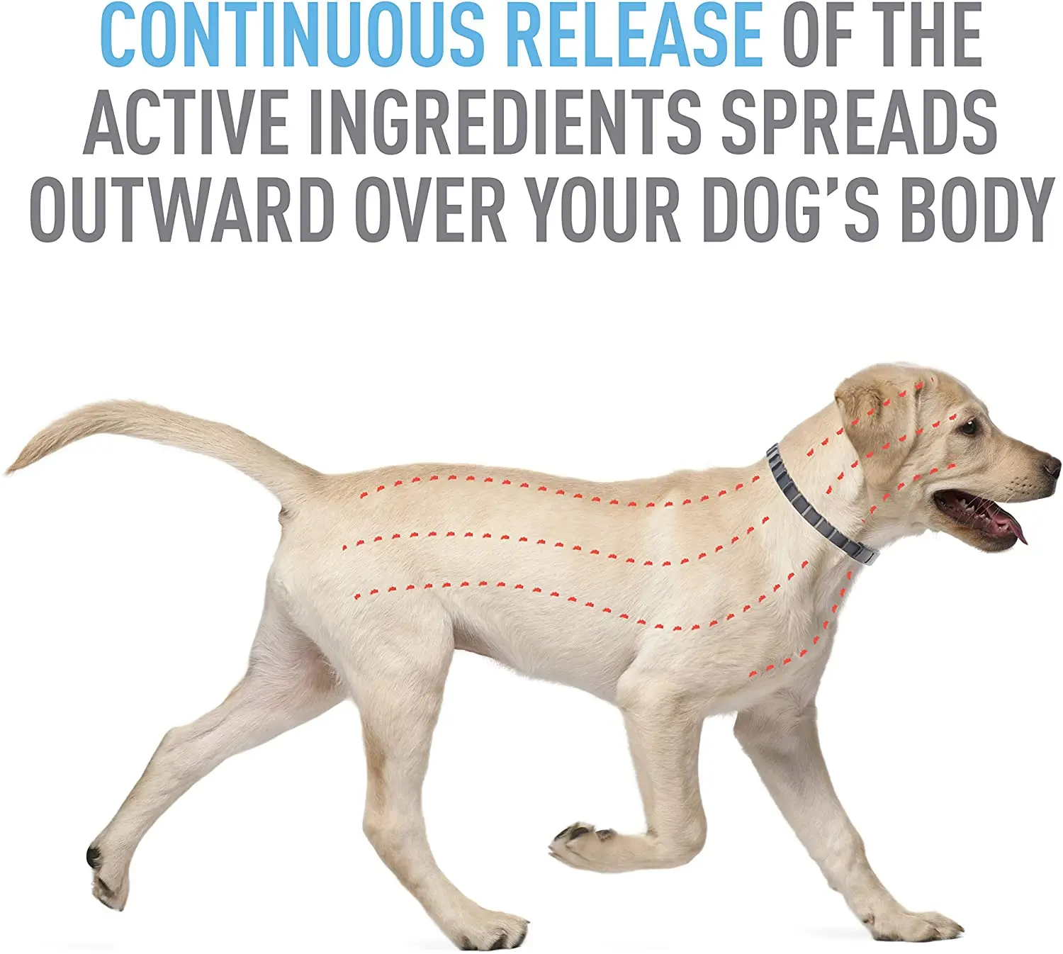 Ошейник для блох и клещей собак регулируемый ошейник 8-месячной защиты с