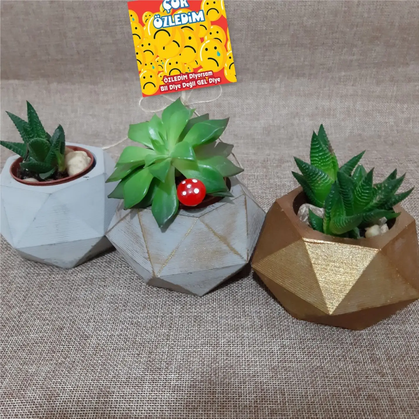 

Handmade 3 Pcs Concrete Pot Set-5