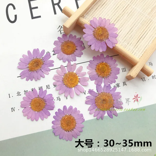 12 шт окрашенные белого цвета с украшением в виде кристаллов и принтом хризантем