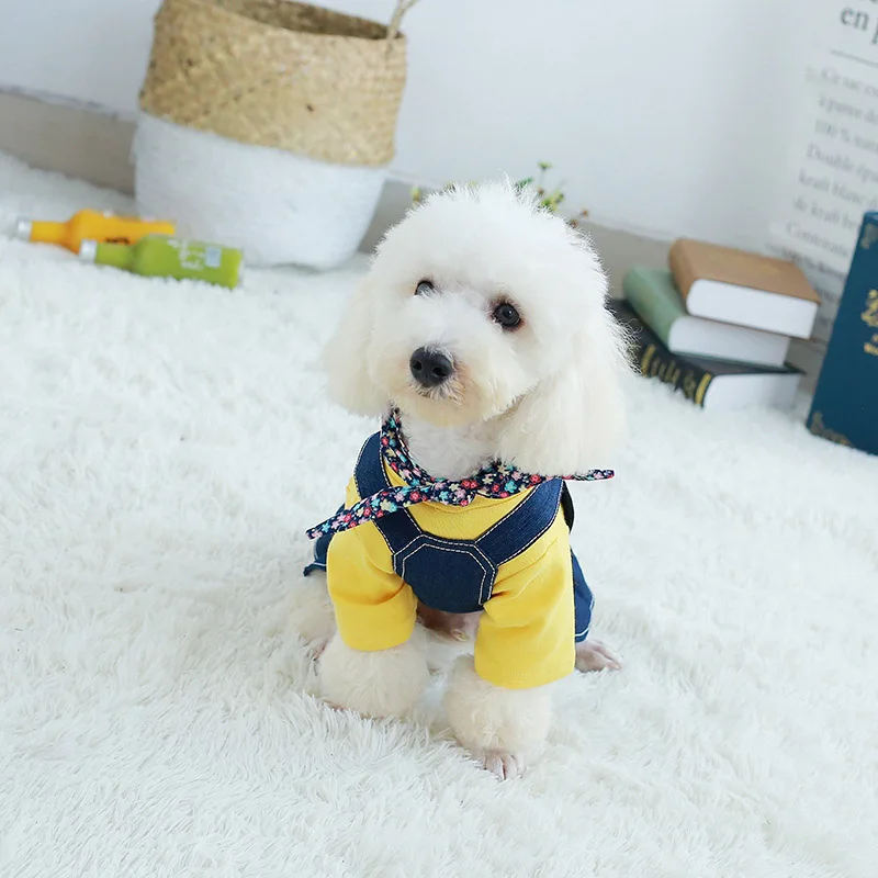 Джинсовое пальто для собак модная одежда из денима питомцев костюм мопса