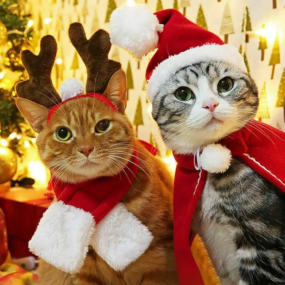 

Рождественский красный шарф, шапка, Санта-Клаус, собака, кошка, женский теплый костюм для косплея питомца, Рождественская одежда, одежда для ...