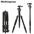 Штатив-Трипод для камеры Q666, алюминиевый гибкий Профессиональный дорожный монопод с шариковой головкой, компактный штатив для зеркальных фотоаппаратов