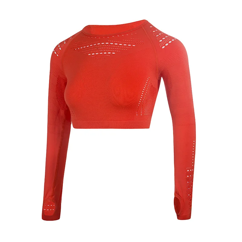 

Women Seamless Yoga Set Fitness Clothing Sportswear Long Sleeve Crop Top Shirt Gym Leggings Push Up Pants 2 PCS Sports Suits