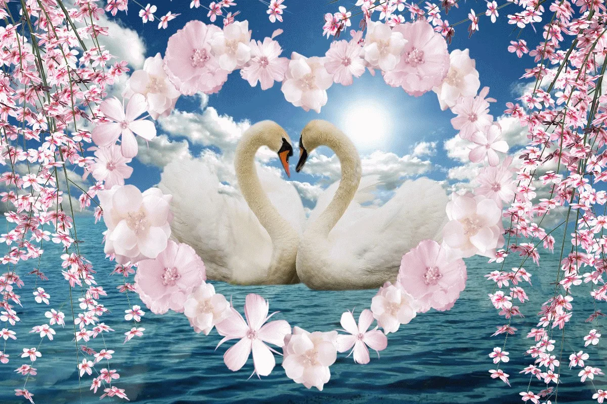 

Jmine Div 5D Swan Kiss Love Heart Flower Full Diamond Painting cross stitch kits art Animal wedding 3D paint by diamonds