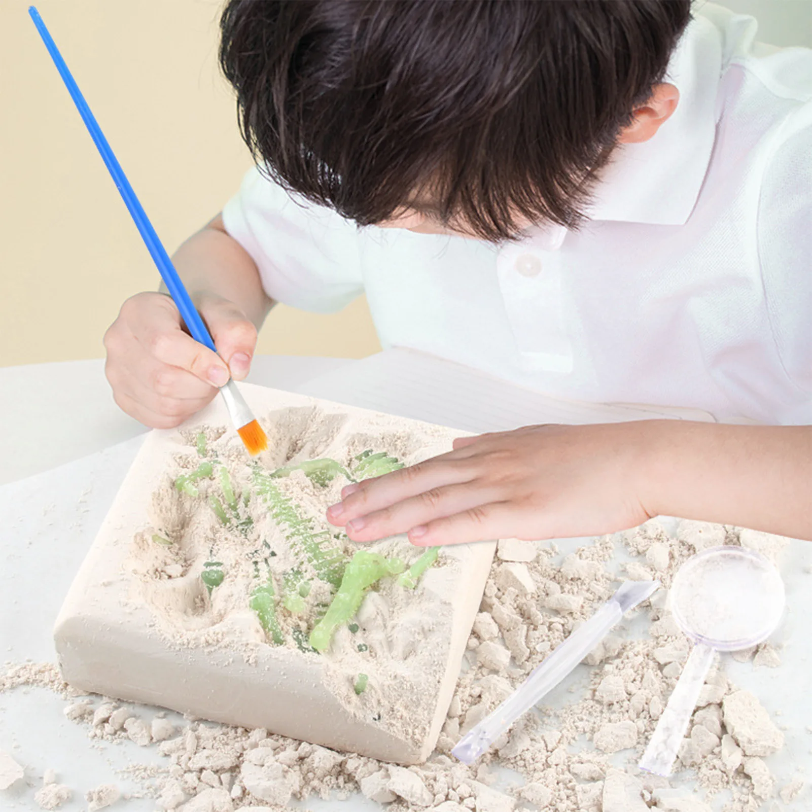 

Kids Dinosaur Excavation Kits Dig A Dinosaur Archaeology Paleontology Educational Toy Fossi Dig Science Kit For Kids Gifts
