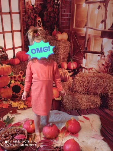 Фон для фотосъемки новорожденных Осенняя ферма Тыква сарай склад сено День