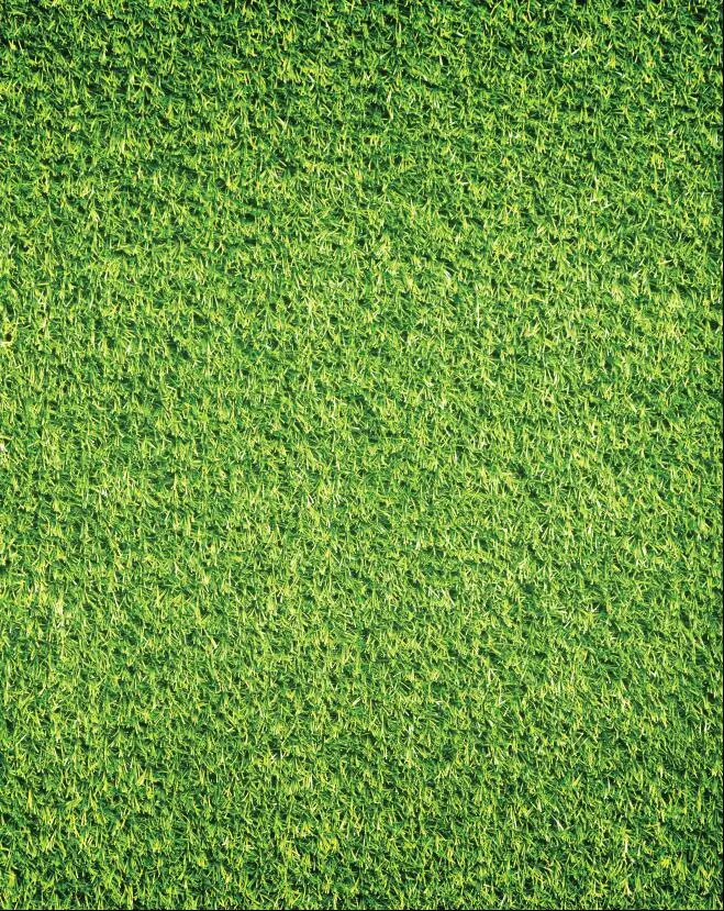 

SHENGYONGBAO Vinyl Custom Photography Backdrops Prop Children Scenery Digital Photo Studio Background SE19301-01