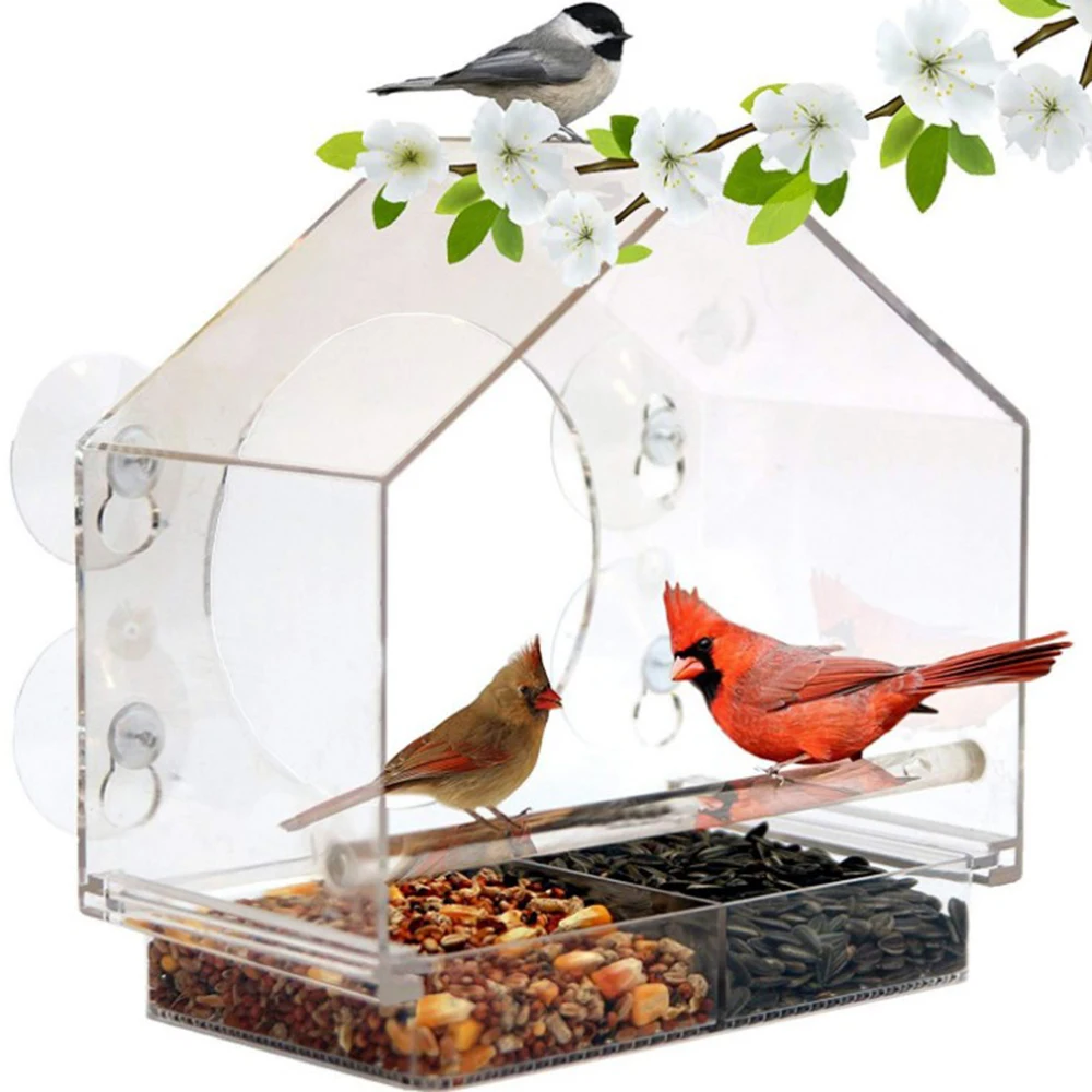 

Acrylic Anti-squirrel Transparent Window Bird Squirrel Feeder With Powerful Suction Cup Tool And Detachable Sliding Seed Tray