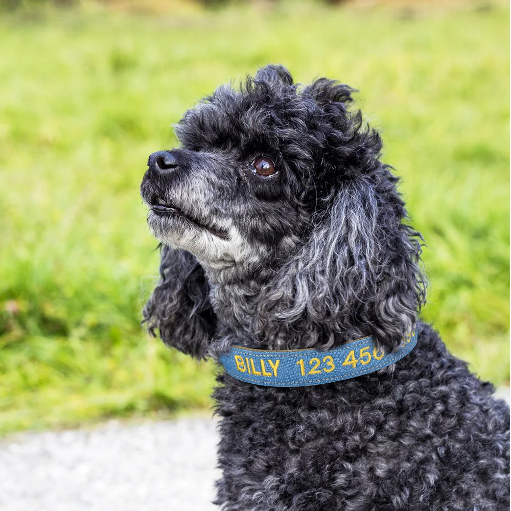 Джинсы нейлоновые ткани вышитый сплошной цвет основной собачий ошейник мягкий