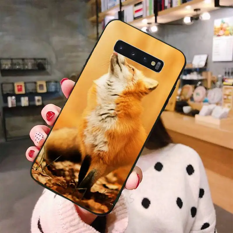 

Autumn leaves fall fox pumpkin Halloween Phone Case For Samsung A50 A51 A71 A20E A20S S10 S20 S21 S30 Plus ultra 5G M11 shell
