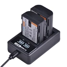 Powertrust DMW-BLF19, DMW-BLF19E, DMW-BLF19PP Запасные батареи и двойное зарядное устройство USB для цифровых фотоаппаратов Panasonic Lumix DC-G9, DC-GH5, DMC-GH3, DMC-GH3K, DMC-GH4, DMC-GH4K