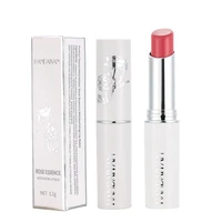 waterproof lipstick matte velvet lip gloss liquid long lasting makeup sexy plump elegant lip stick natural moisturizing tslm1