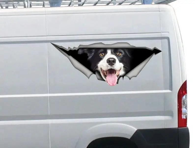 

2021 Border Collie sticker, car decal, Vinyl decal, Pet sticker, Dog decal, Border Collie car decal