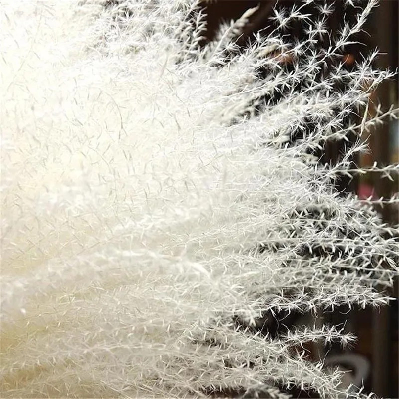 Pampas Трава Декор Белый Розовый цвет свадебные цветы натуральные растения сушеные