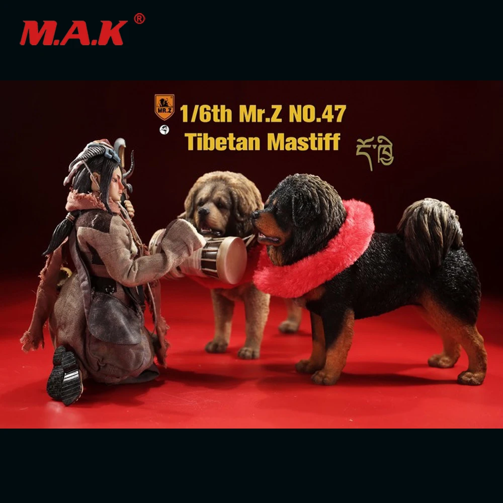 

Mr.Z MRZ047 1/6 Simulated animal model 47 bullets Tibetan Mastiff can be used with 12-inch dolls Collectibles Decoration Gifts