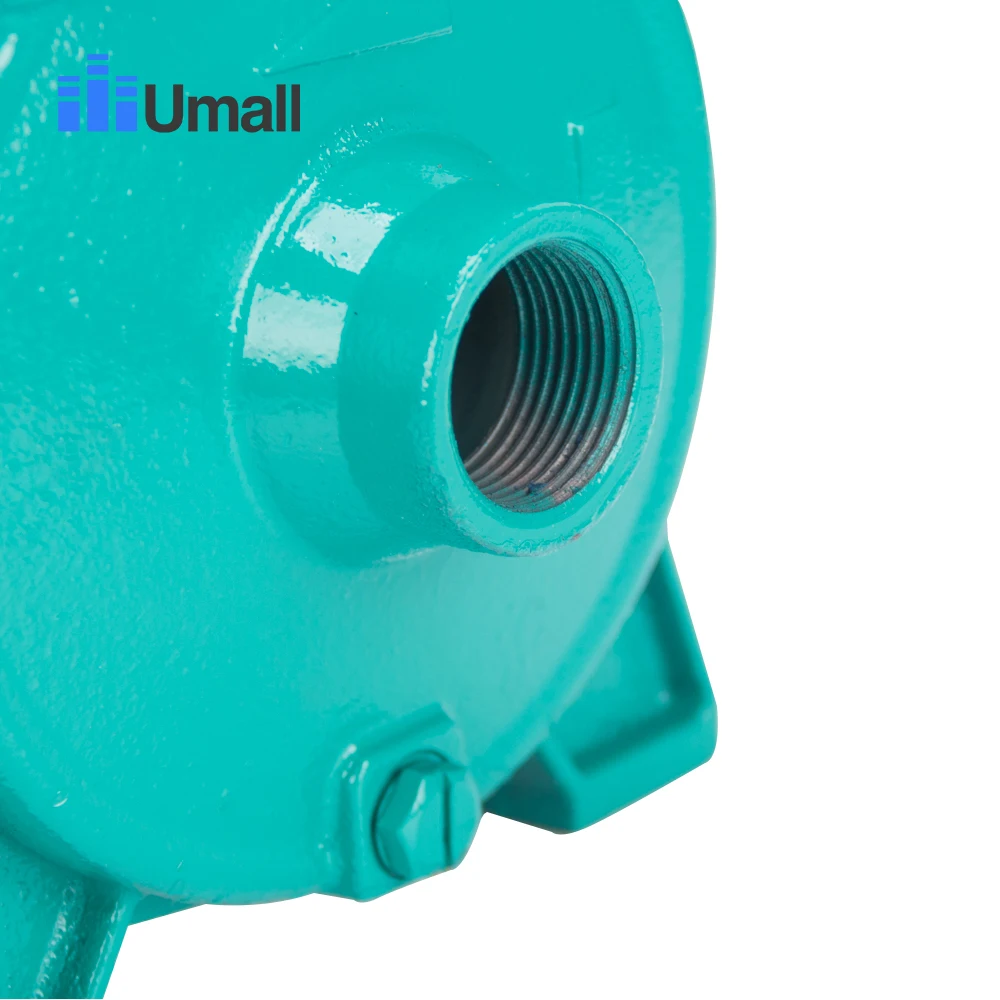 SCM22 0.5HP домашний подкачивающий водяной насос однофазный Электрический мотор с высоким потоком горизонтальный центробежный насос 220 В