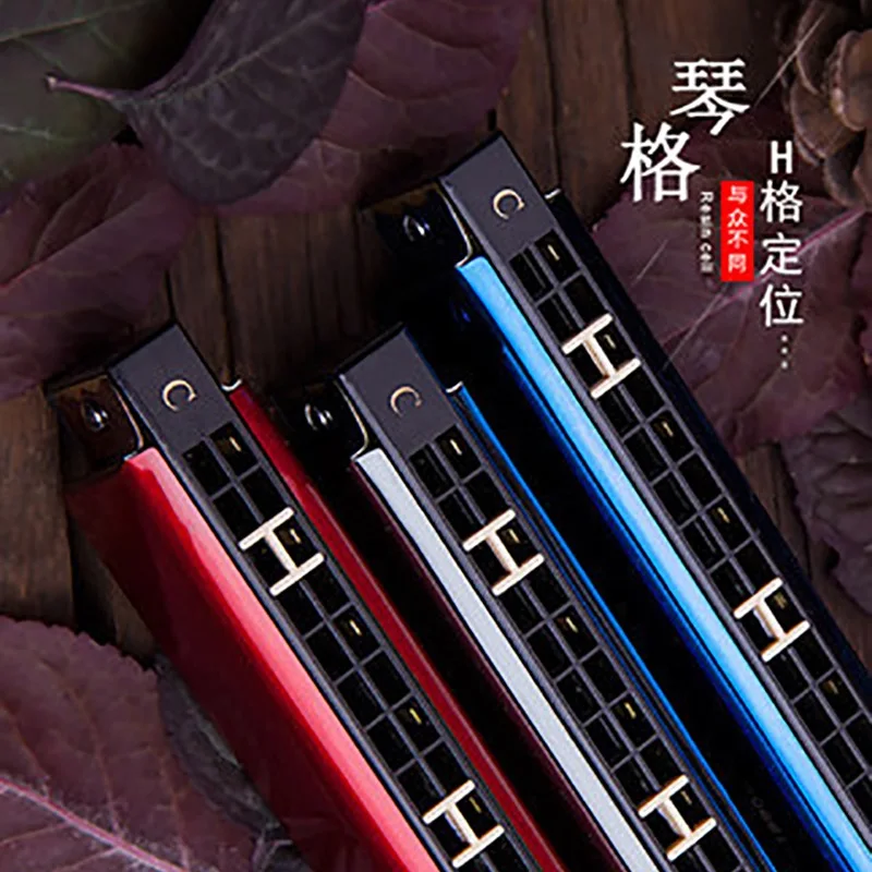 Полифоническая гармоника с 24 отверстиями аккорд C портативный мини-арфский