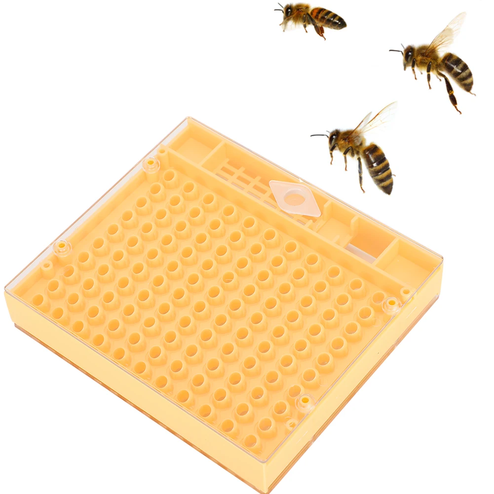 Bee King инкубатор свободно перемещать безвредные разведение коробка пчеловод