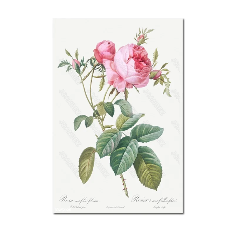 

European style canvas material decoration painting pink flower core and leaf scene picture background poster living room furnitu