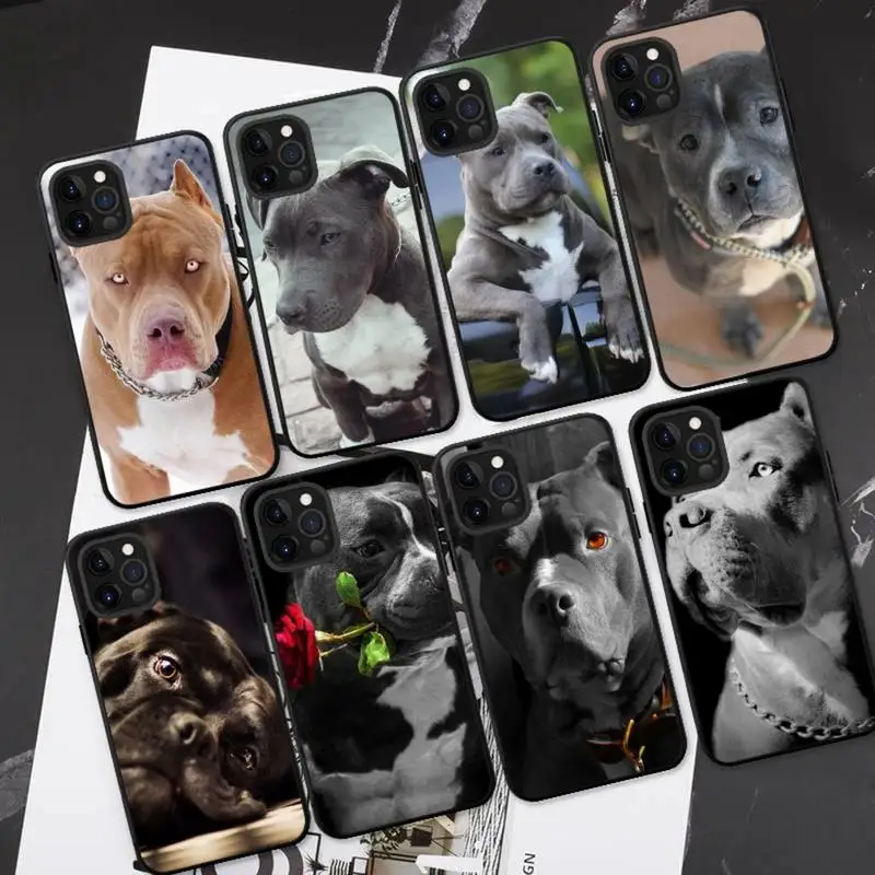 

Pit Bull Lovely Pet Dog Pitbull Phone Case For iPhone 13 11 8 7 6 6S Plus X XS MAX 5 5S SE 2020 XR 11 pro DIY Funda