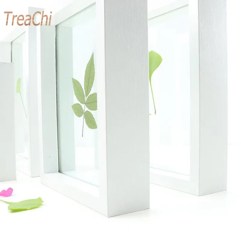 Высушенный растительный цветок лист образец коробка квадратная A4 бумажная рамка