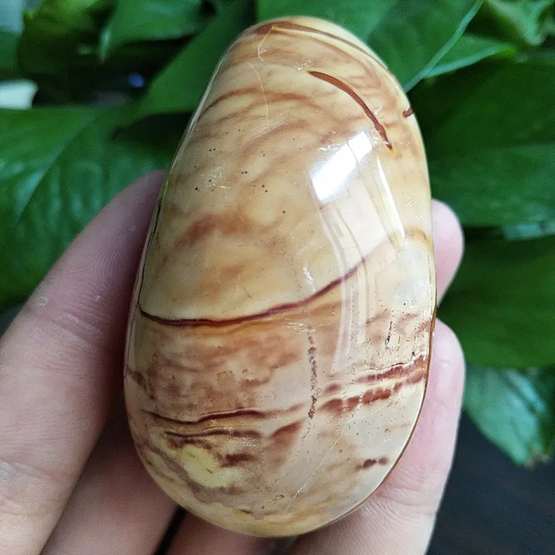 

Natural stone Marine palm healing crystals Decorative collection stones and crystals