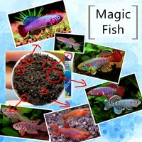 fish tank for hatching killifish eggs brine shrimp usb lamp grow magic soil water live tank caviar viewer earth pet toys gift