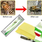 20 шт.пакет Varroa strip Fluvalinate, средство для лечения пчеловодства и борьбы с вредителями, садовый инструмент