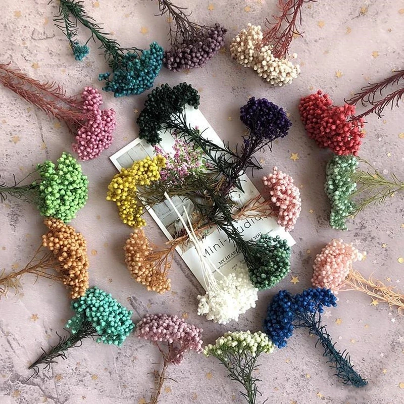50g Eternal Dry Rice Flower Millet Flowers Heads DIY Home Wedding Party Decor Natural Centerpieces Decoration