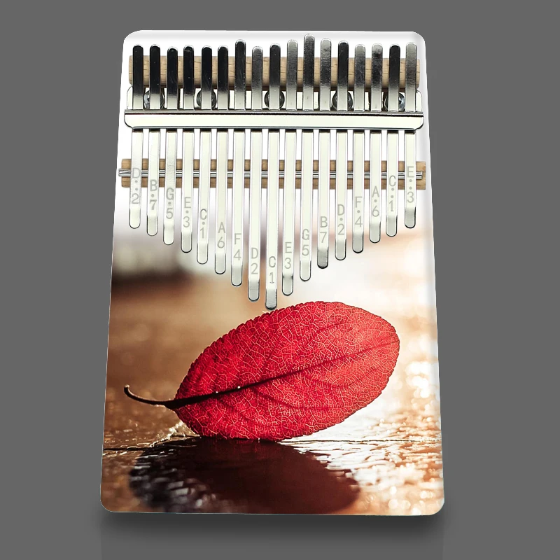 PURM kalimba большой палец пианино инновационный дизайн музыкальный инструмент 17