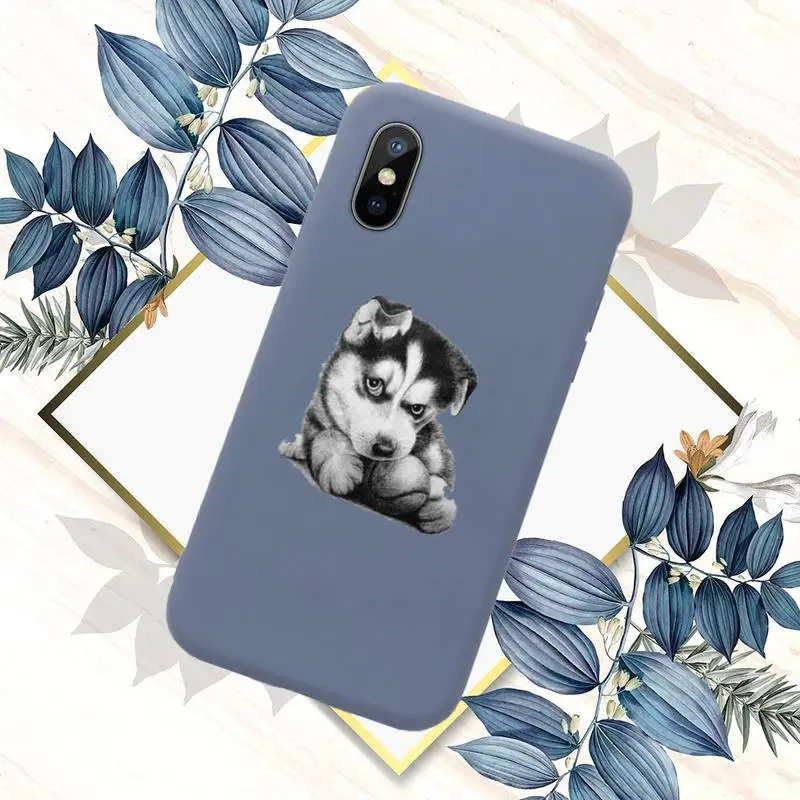 

Husky Kawaii Wolf cute Phone Case Candy Color for iPhone 6 7 8 11 12 s mini pro X XS XR MAX Plus