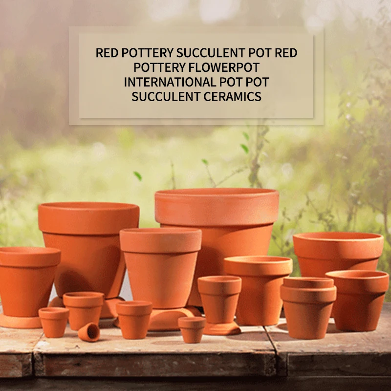 Керамические керамические горшки маленькие глиняные С КАКТУСОМ